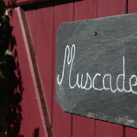 Maison D'Hotes La Chouanniere Bed & Breakfast Les Bois-d'Anjou ภายนอก รูปภาพ