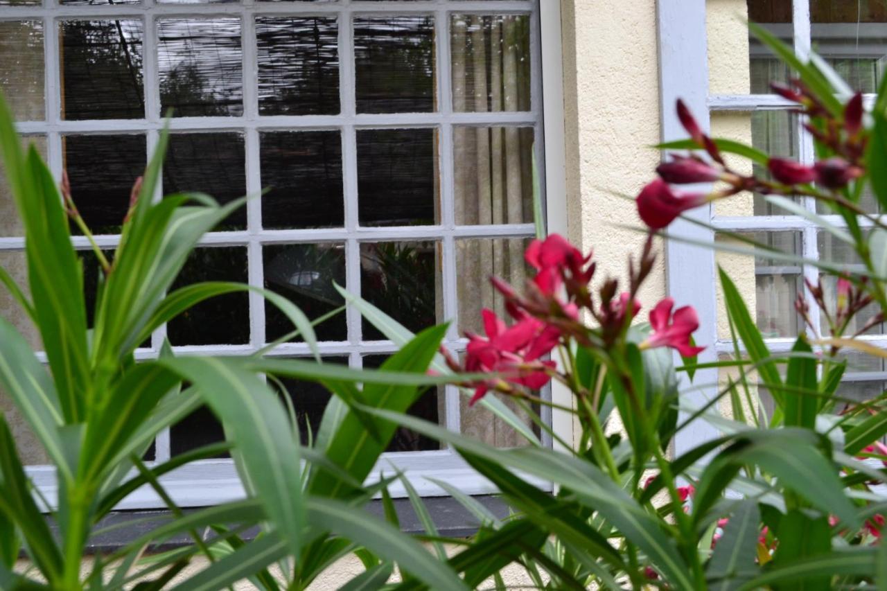 Maison D'Hotes La Chouanniere Bed & Breakfast Les Bois-d'Anjou ภายนอก รูปภาพ