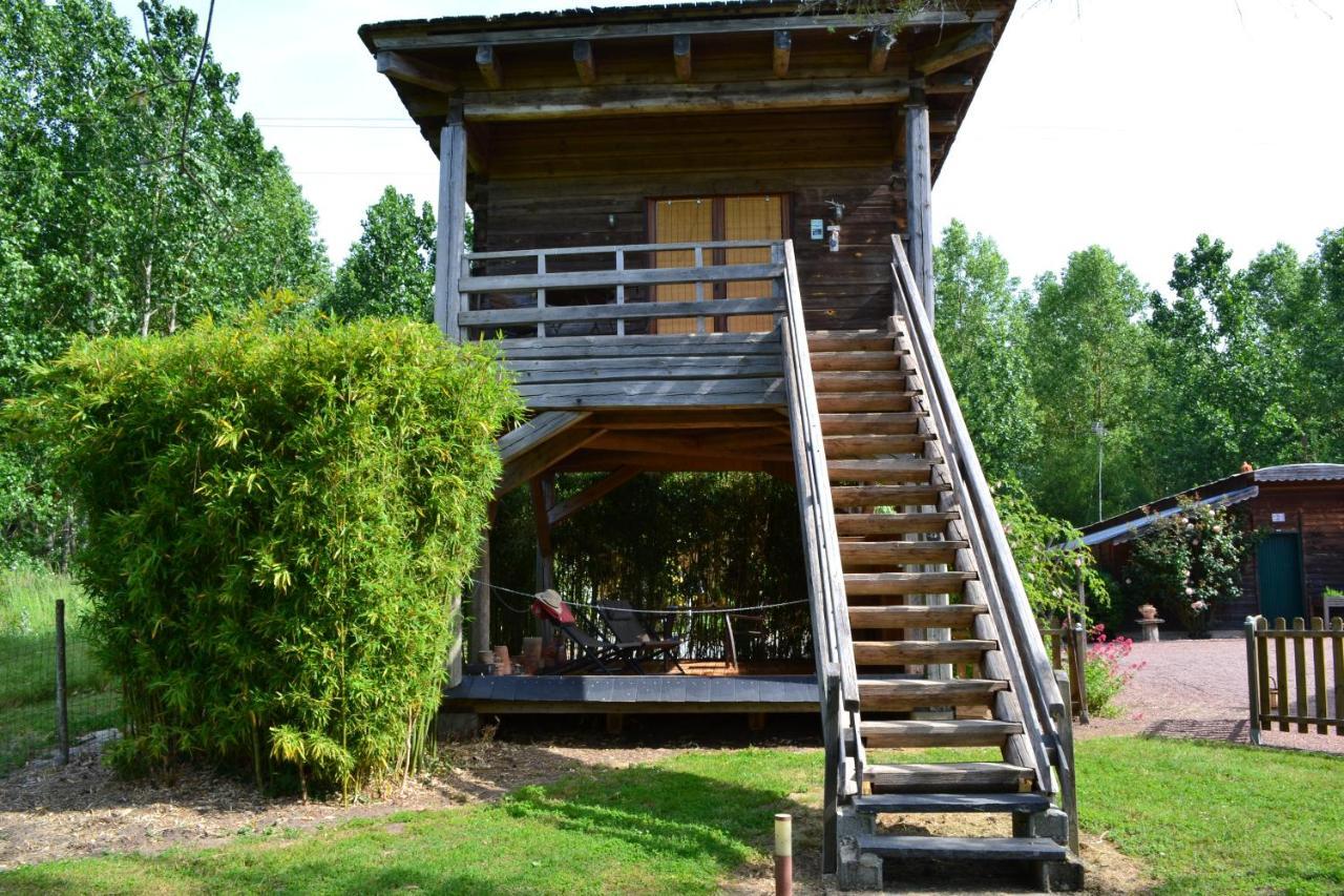 Maison D'Hotes La Chouanniere Bed & Breakfast Les Bois-d'Anjou ภายนอก รูปภาพ