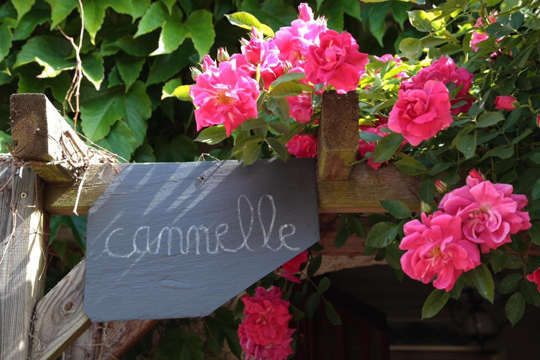 Maison D'Hotes La Chouanniere Bed & Breakfast Les Bois-d'Anjou ภายนอก รูปภาพ