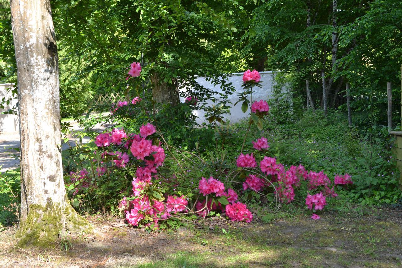 Maison D'Hotes La Chouanniere Bed & Breakfast Les Bois-d'Anjou ภายนอก รูปภาพ